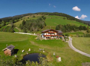Stanglehen, Mittersill, Österreich